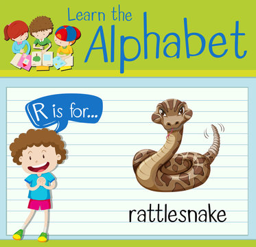 Flashcard letter r is for rattle snake