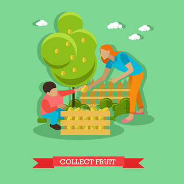 Vector illustration of mom with son collects pears