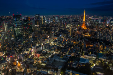 Fototapeta na wymiar Night view of Tokyo in Japan cityscape Tokyo tower