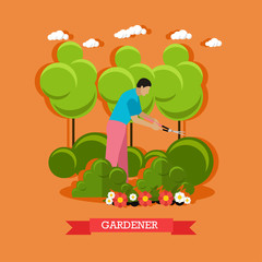 Gardener trimming hedges, flat design