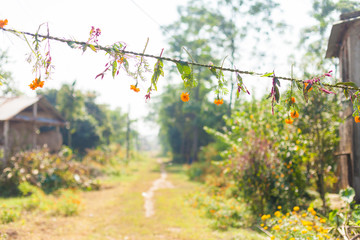 Flower and grass garlands for Tihar in Nepal © edan