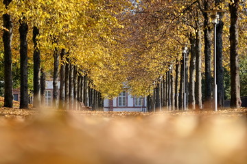 Parkanlage im Herbst