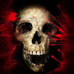 Skull and blood on the vintage background.
