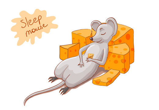 mouse sleeping illustration