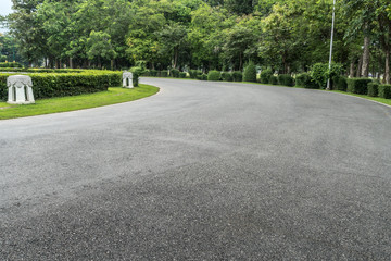 Road in the park