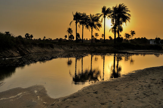 Gambia Landscape by sunset