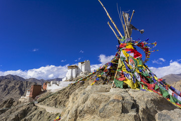 レーヴィレッジのツェモ・ゴンパ