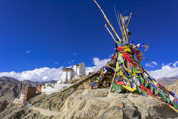 レーヴィレッジのツェモ・ゴンパ