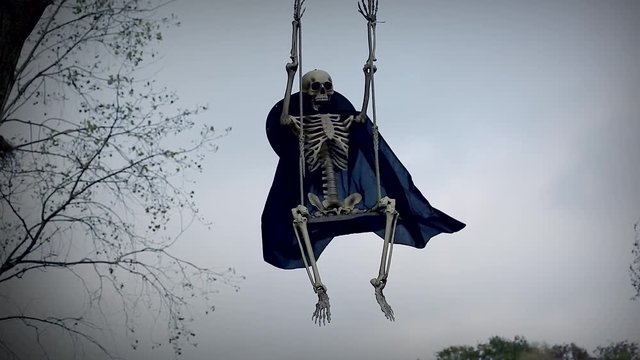 Funny Skeleton On Swing