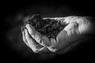 A handful of soil.Soil in old female hand,black and white photo
