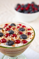 Closeup of a yogurt dessert with berries and almonds