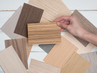 Samples of veneer wood on  white background. interior design select material for idea. 