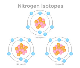 isotope of Nitrogen . 3 steps of Nitrogen . vector