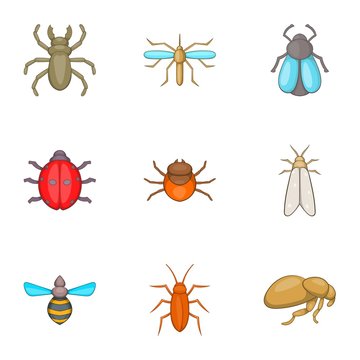 Order of insects icons set. Cartoon illustration of 9 order of insects vector icons for web