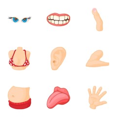 Human body icons set. Cartoon illustration of 9 human body vector icons for web