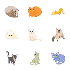 Obraz premium Pet icons set. Cartoon illustration of 9 pet vector icons for web