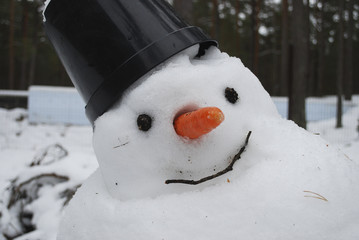 Thaw. Snowman cocked his head, melts.