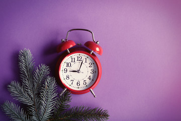 alarm clock and pine branch