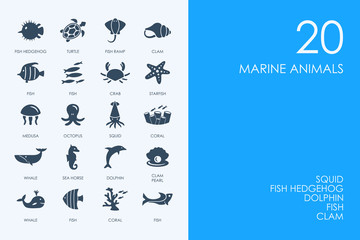 Set of BLUE HAMSTER Library marine animals icons