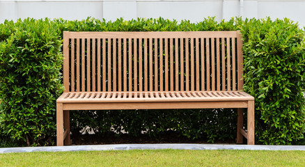 Wooden Bench in Green Bush