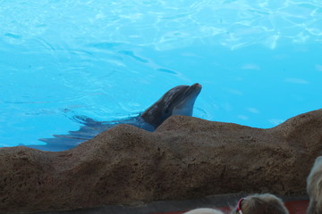 Beautiful unique landscape of Canary Island Tenerife