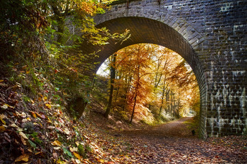 Eisenbahnbrücke im Herbst