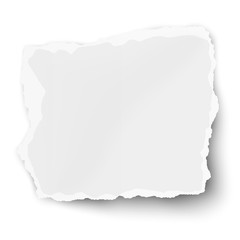 Obraz premium White vector square paper tear with soft shadow isolated