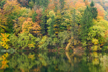 Autum forest lake Kozjak in Plitvice National Park