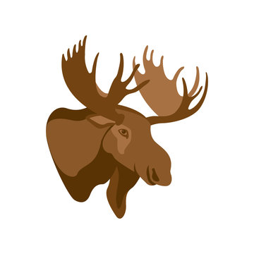 Moose head profile vector illustration style Flat
