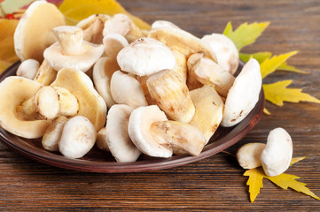 Wild mushrooms and maple leaves