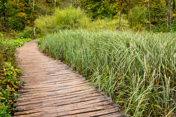 Wooden tourist path in Plitvice lakes national park