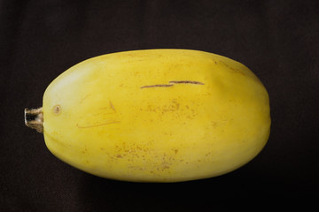Spaghetti squash on black background