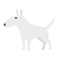 White pure bred bull terrier with red eyes / flat editable vector illustration, clip art