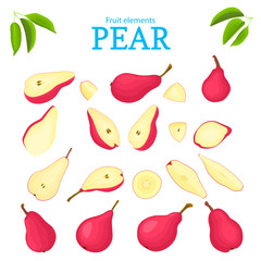 Vector set of red fruits. Pear fruit, whole, peeled, piece of half, slice, leaves, seed. Collection of delicious red pears designer elements for use in packaging design projects flyer healthy eating