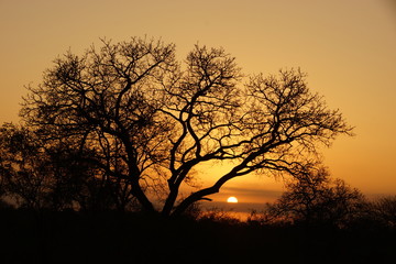 Sonnenuntergang südafrika