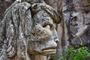 Fototapeta na wymiar estatua de leon