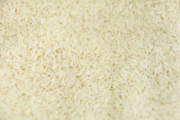 Close up of jasmine rice