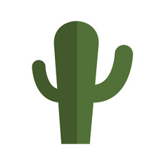 Cactus natural plant icon vector illustration graphic design