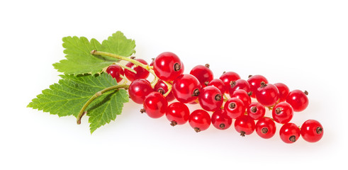 Red currant with green leaves isolated on white background