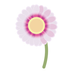 flower floral beauty icon vector illustration graphic design