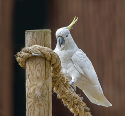 I'm on the post 
