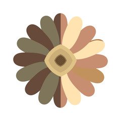 flower floral beauty icon vector illustration graphic design