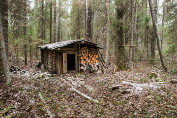 Hunting lodge in the forest. At the entrance hangs a hunting rifle. Cloudy weather on earth is some snow. Near the wooden house stacked firewoods.