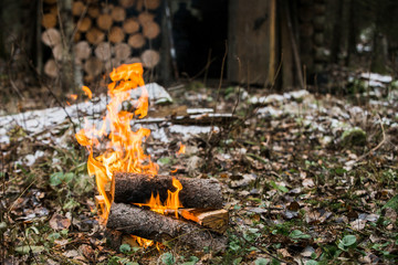 Bonfire, fire. Rest in the woods on a halt. Hunting Lodge. Autumn, cold and cloudy weather, snow.