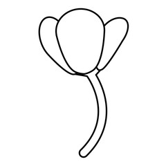 flower floral beauty icon vector illustration graphic design