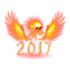 Fototapeta premium Fire Rooster