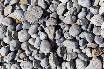 Marine pebbles on beach summer