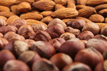 Nut background of different nuts - almond, hazelnut and kernel close-up.  Vegetarian background.