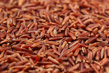 Red rice close-up background. Heap wild brown unpolished rice for vegetarians.