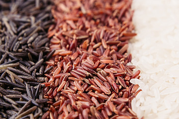 Strips of red, black and white rice close-up. Rice texture background. Macro.